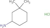 3,3-Dimethylcyclohexan-1-amine hydrochloride