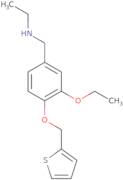 N-[3-Ethoxy-4-(thien-2-ylmethoxy)benzyl]-N-ethylamine