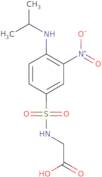 2-{3-Nitro-4-[(propan-2-yl)amino]benzenesulfonamido}acetic acid