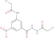 2-Chloro-N-{3-[N'-(2-chloroacetyl)hydrazinecarbonyl]-5-nitrophenyl}acetamide