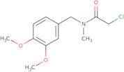 2-Chloro-N-[(3,4-dimethoxyphenyl)methyl]-N-methylacetamide