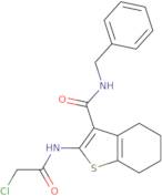 N-Benzyl-2-[(chloroacetyl)amino]-4,5,6,7-tetrahydro-1-benzothiophene-3-carboxamide