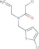 2-Chloro-N-[(5-chlorothiophen-2-yl)methyl]-N-(prop-2-en-1-yl)acetamide