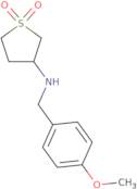 3-{[(4-Methoxyphenyl)methyl]amino}thiolane-1,1-dione