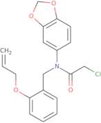 N-(1,3-Dioxaindan-5-yl)-2-chloro-N-{[2-(prop-2-en-1-yloxy)phenyl]methyl}acetamide