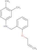 3,4-Dimethyl-N-{[2-(prop-2-en-1-yloxy)phenyl]methyl}aniline