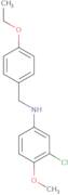 3-Chloro-N-[(4-ethoxyphenyl)methyl]-4-methoxyaniline