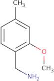 (2-Methoxy-4-methylphenyl)methanamine