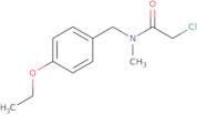 2-Chloro-N-[(4-ethoxyphenyl)methyl]-N-methylacetamide