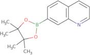 7-(4,4,5,5-Tetramethyl-1,3,2-dioxaborolan-2-yl)quinoline