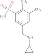 5-[(Cyclopropylamino)methyl]-2,3-dimethylbenzene-1-sulfonamide