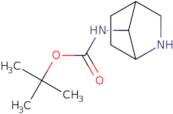 tert-Butyl N-[(1R,4S)-2-azabicyclo[2.2.1]heptan-7-yl]carbamate