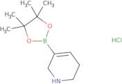 1,2,3,6-Tetrahydropyridine-5-boronic acid pinacol ester HCl