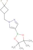 1-[(3,3-difluorocyclobutyl)methyl]-4-(tetramethyl-1,3,2-dioxaborolan-2-yl)-1h-pyrazole