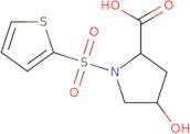 4-Hydroxy-1-(2-thienylsulfonyl)-2-pyrrolidinecarboxylic acid