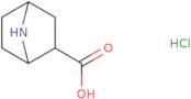 rac-(1S,2S,4R)-7-Azabicyclo[2.2.1]heptane-2-carboxylic acid hydrochloride