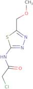 2-Chloro-N-(5-methoxymethyl-[1,3,4]thiadiazol-2-yl)-acetamide