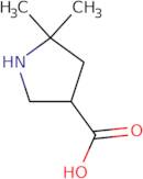 5,5-Dimethylpyrrolidine-3-carboxylic acid