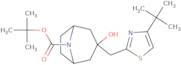 tert-Butyl 3-[(4-tert-butyl-1,3-thiazol-2-yl)methyl]-3-hydroxy-8-azabicyclo[3.2.1]octane-8-carboxy…