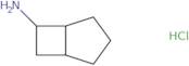 Bicyclo[3.2.0]heptan-6-amine hydrochloride