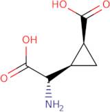 L-CCG-IV