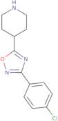 4-[3-(4-Chlorophenyl)-1,2,4-oxadiazol-5-yl]piperidine
