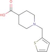 1-(Thien-2-ylmethyl)piperidine-4-carboxylic acid