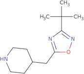 4-[(3-tert-Butyl-1,2,4-oxadiazol-5-yl)methyl]piperidine