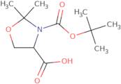 3-[(tert-Butoxy)carbonyl]-2,2-dimethyl-1,3-oxazolidine-4-carboxylic acid