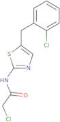 2-Chloro-N-{5-[(2-chlorophenyl)methyl]-1,3-thiazol-2-yl}acetamide