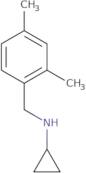 N-[(2,4-Dimethylphenyl)methyl]cyclopropanamine