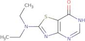 2-(Diethylamino)-6H,7H-[1,3]thiazolo[4,5-d]pyrimidin-7-one