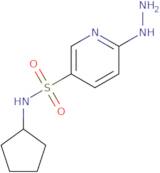 N-Cyclopentyl-6-hydrazinylpyridine-3-sulfonamide