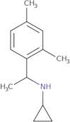 N-[1-(2,4-Dimethylphenyl)ethyl]cyclopropanamine