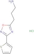3-[3-(Thiophen-2-yl)-1,2,4-oxadiazol-5-yl]propan-1-amine