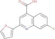 7-Fluoro-2-(furan-2-yl)quinoline-4-carboxylic acid