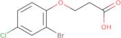 3-(2-Bromo-4-chlorophenoxy)propanoic acid