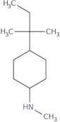 N-Methyl-4-(2-methylbutan-2-yl)cyclohexan-1-amine