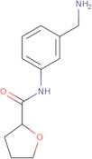 N-[3-(Aminomethyl)phenyl]oxolane-2-carboxamide