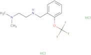 [2-(Dimethylamino)ethyl]({[2-(trifluoromethoxy)phenyl]methyl})amine