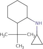 2-tert-Butyl-N-cyclopropylcyclohexan-1-amine