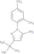 3-tert-Butyl-1-(2,4-dimethylphenyl)-1H-pyrazol-5-amine