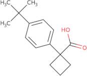 1-(4-tert-Butylphenyl)cyclobutane-1-carboxylic acid