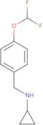 N-{[4-(Difluoromethoxy)phenyl]methyl}cyclopropanamine