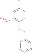 5-Chloro-2-(pyridin-3-ylmethoxy)benzaldehyde