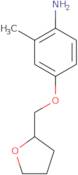 2-Methyl-4-(tetrahydro-2-furanylmethoxy)aniline