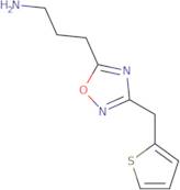 3-{3-[(Thiophen-2-yl)methyl]-1,2,4-oxadiazol-5-yl}propan-1-amine