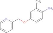 2-Methyl-4-[(pyridin-2-yl)methoxy]aniline