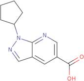 1-Cyclopentyl-1H-pyrazolo[3,4-b]pyridine-5-carboxylic acid