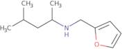 (Furan-2-ylmethyl)(4-methylpentan-2-yl)amine